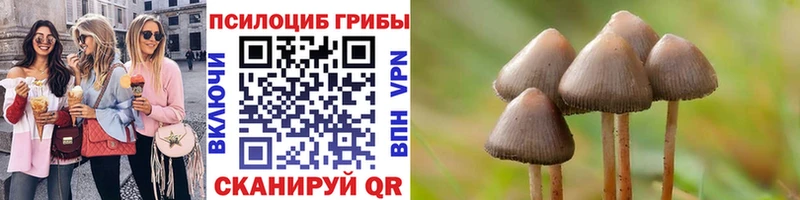 Псилоцибиновые грибы Cubensis  Купить закладки  Конаково 